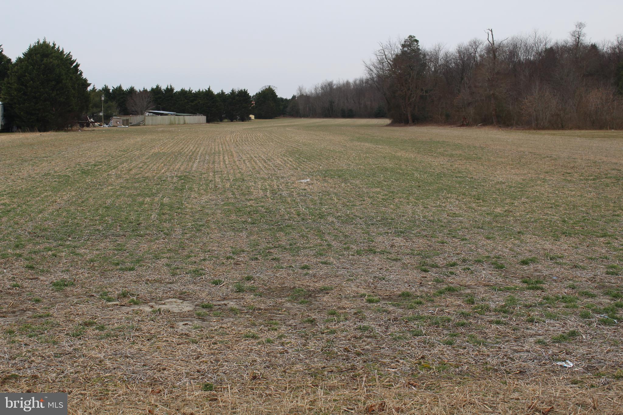 Lot 201 Adams Road Dagsboro, DE 19939 - Photo 1 of 2 Gallery Image 1