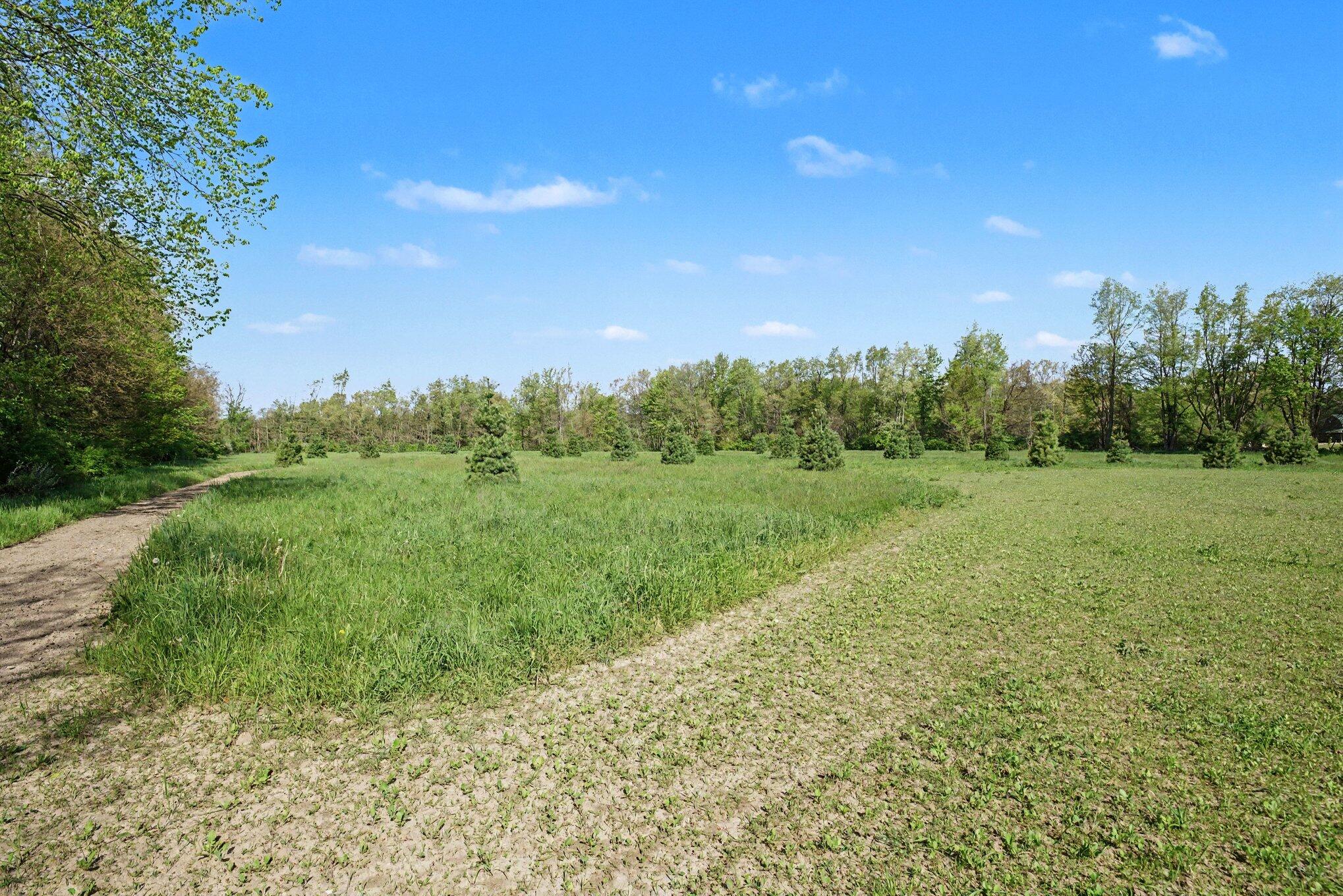 53649 Flatbush Road Three Rivers, MI 49093 - Photo 45 of 49 045_file_2602