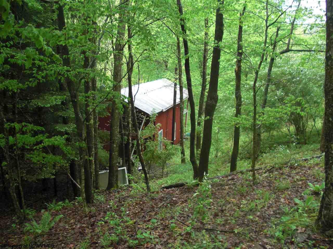 2822 Walnut Fork Road Camden, WV 26338 - Photo 3 of 20 Gallery Image 3