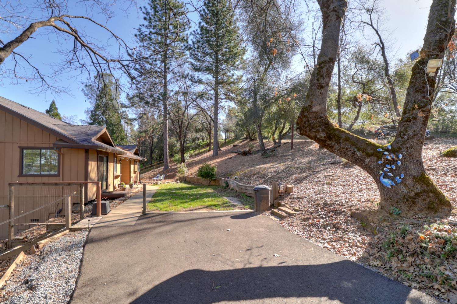 6719 Slug Gulch Road Somerset, CA 95684 - Photo 44 of 67