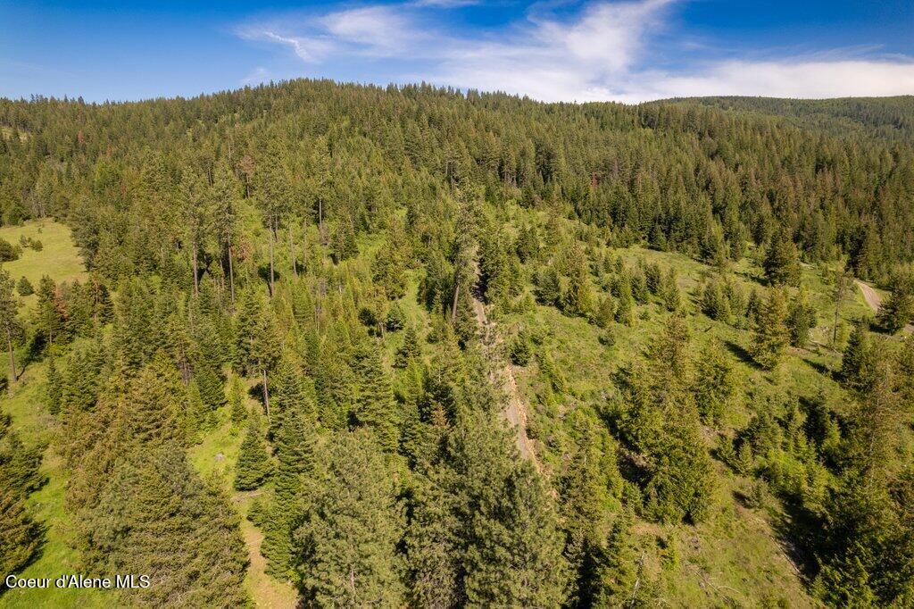 Nka Waddell Road St. Maries, ID 83861 - Photo 15 of 22 015-nkanextto1312WaddellRoad-SaintMaries
