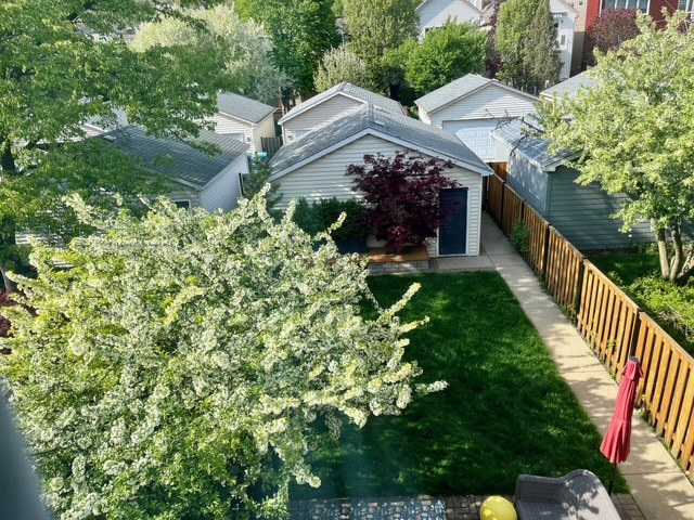 334 West Goethe Street Chicago, IL 60610 - Photo 13 of 18 a view of a house with a yard and potted plants