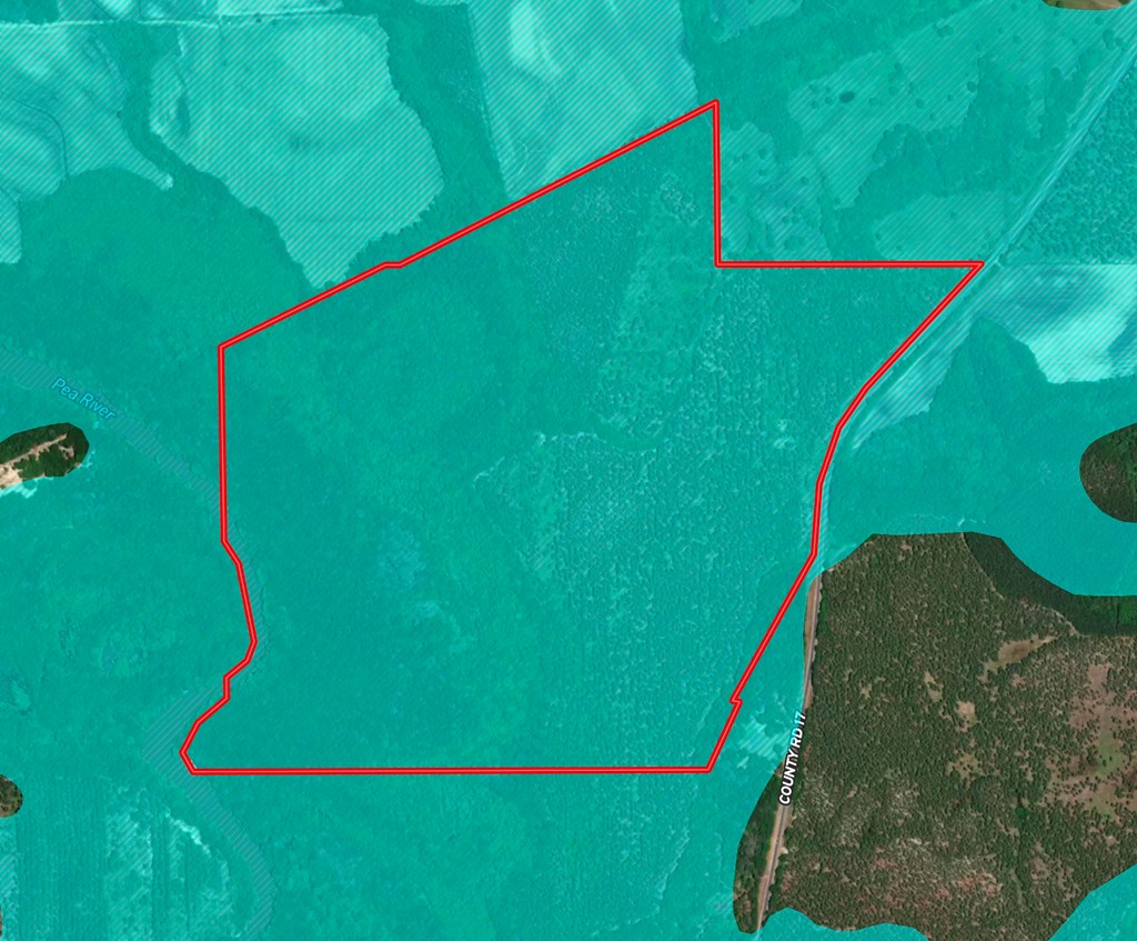 202-acres Columbus Holley Road Samson, AL 36477 - Photo 50 of 50