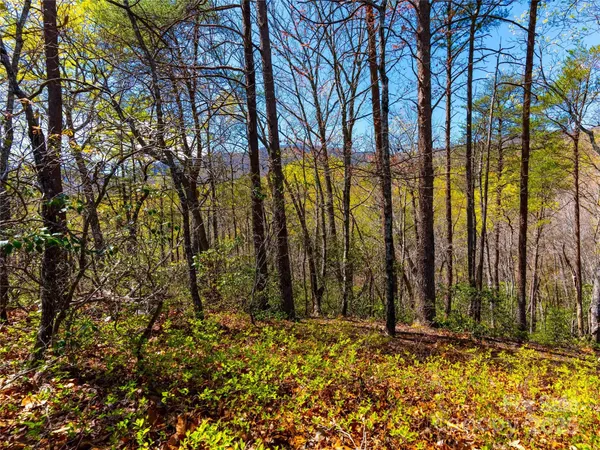 a view of a backyard of the house