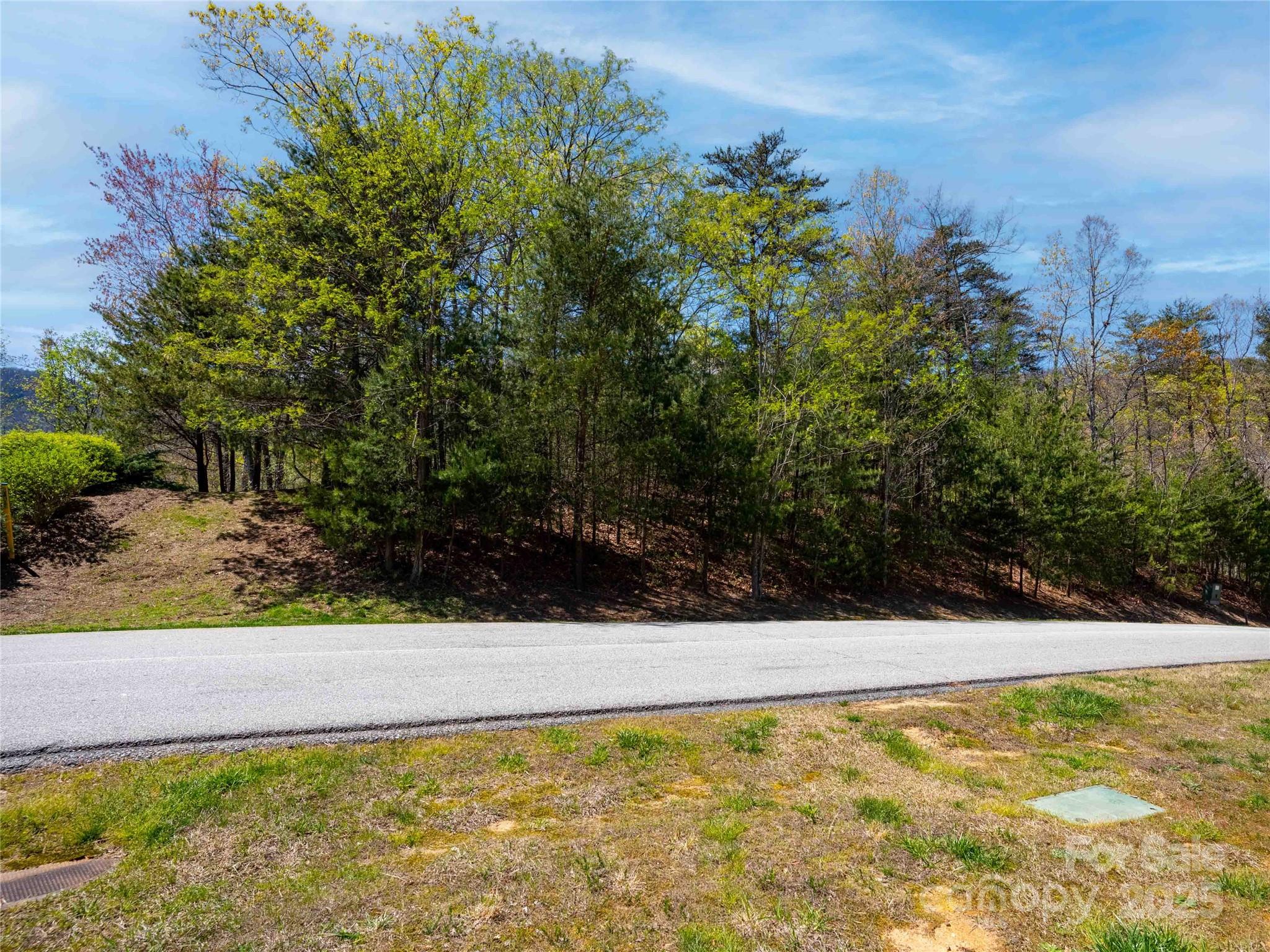 107 Deep Gap Rd Mill Spring East Mill Spring, NC 28756 - Photo 4 of 9 a view of a yard with trees