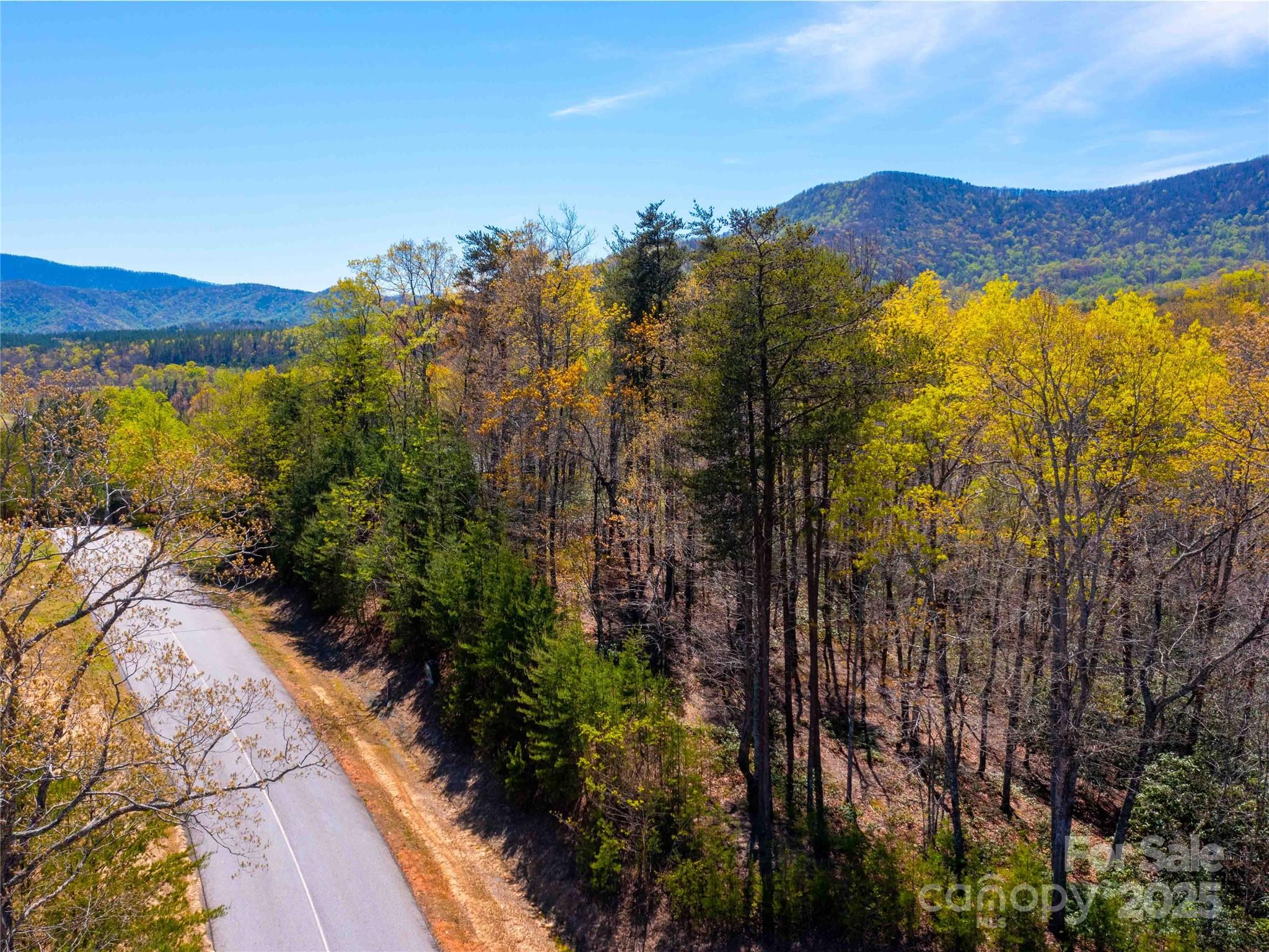 107 Deep Gap Rd Mill Spring East Mill Spring, NC 28756 - Photo 6 of 9 a view of a city