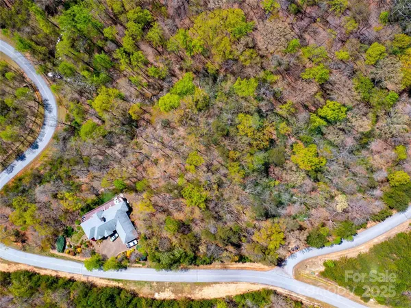 a view of a lush green hillside and houses