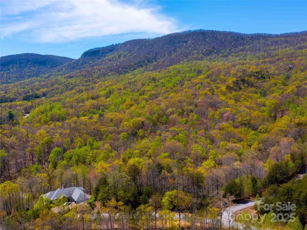 $145,000 | 107 Deep Gap Rd Mill Spring East, Mill Spring, NC 28756