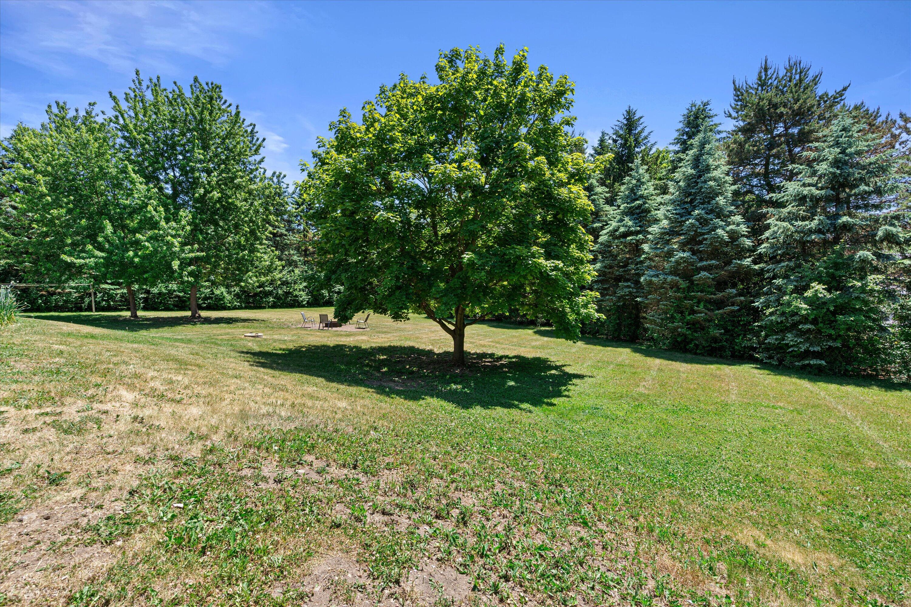 620 Prairie View Drive North Prairie, WI 53153 - Photo 14 of 52 Privacy Screening