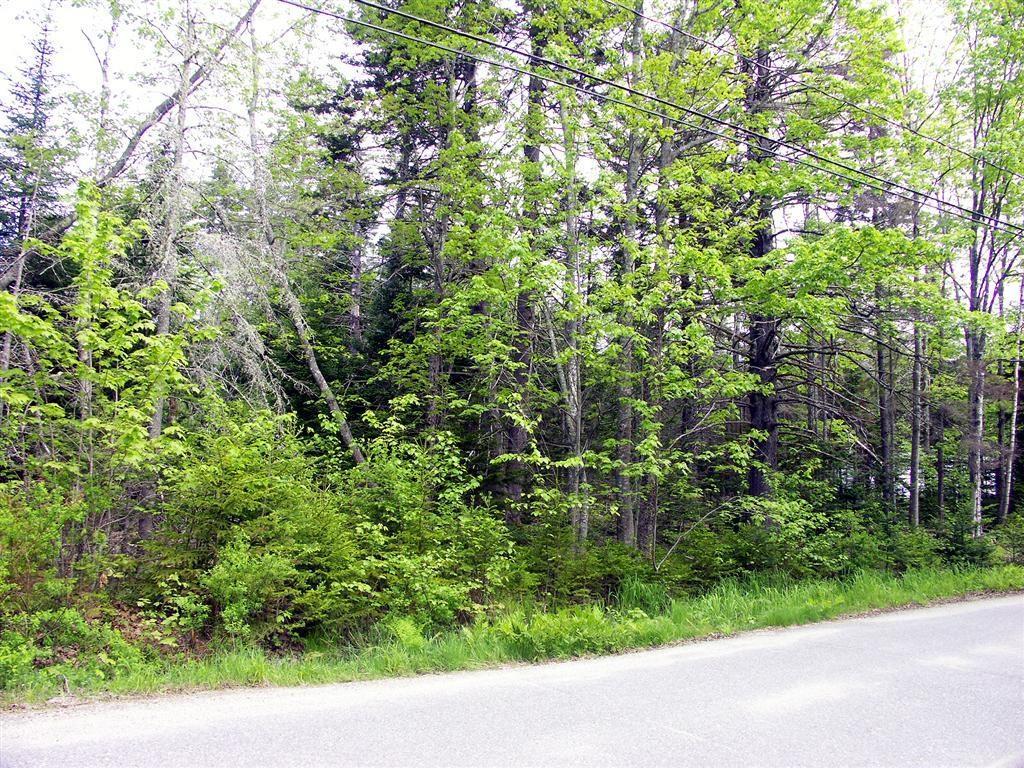 Lot Oak Oak Point Road Trenton, ME 04605 - Photo 4 of 10 Photo
