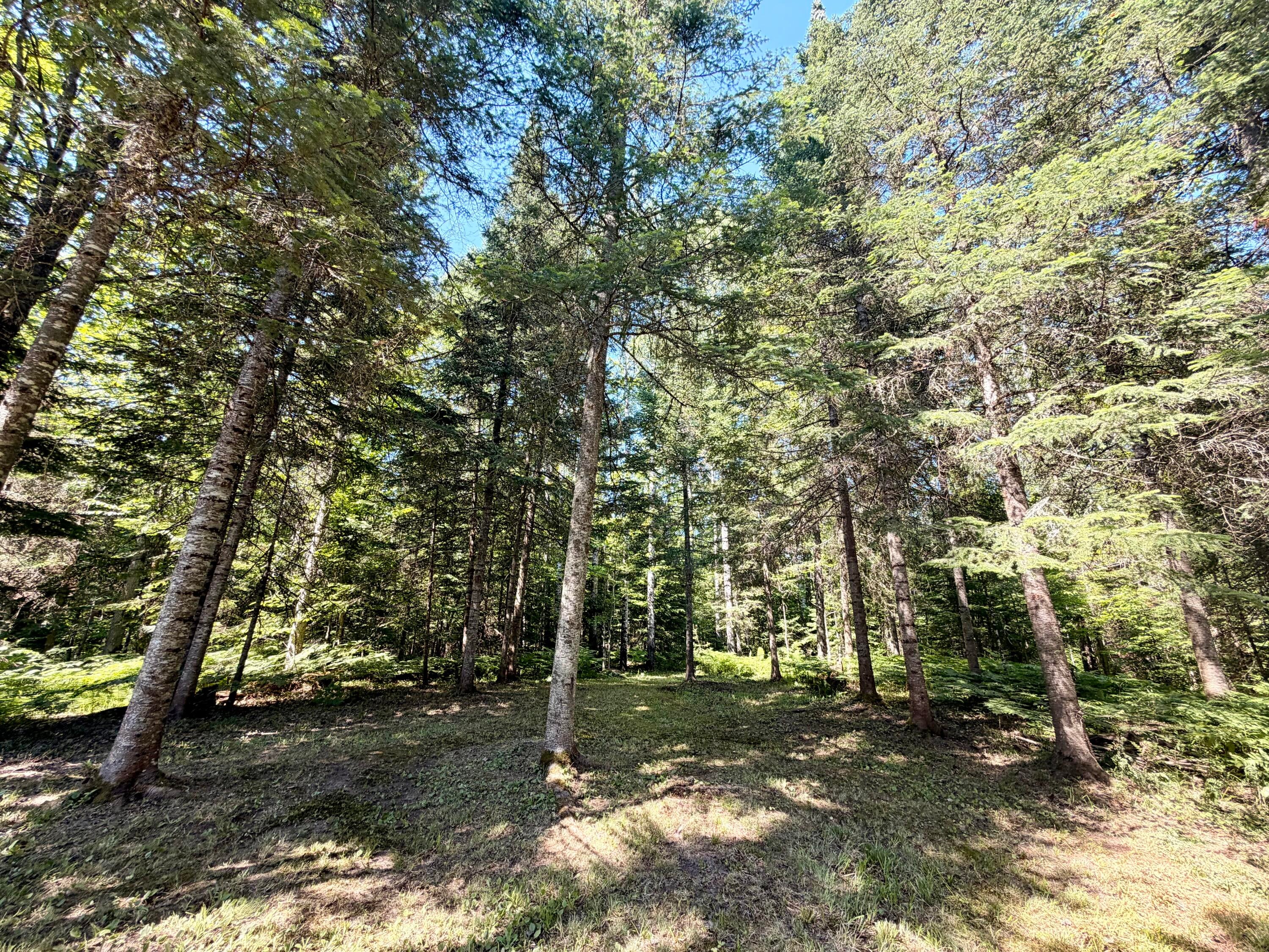 Tbd North Hulbert Road Eckerman, MI 49728 - Photo 68 of 92 Gallery Image 68