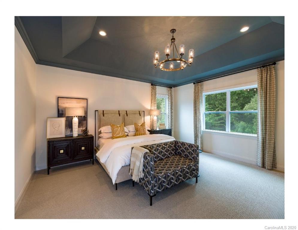 161 Forsythia Lane, Unit 689 Tega Cay, SC 29708 - Photo 4 of 11 Gallery Image 4
