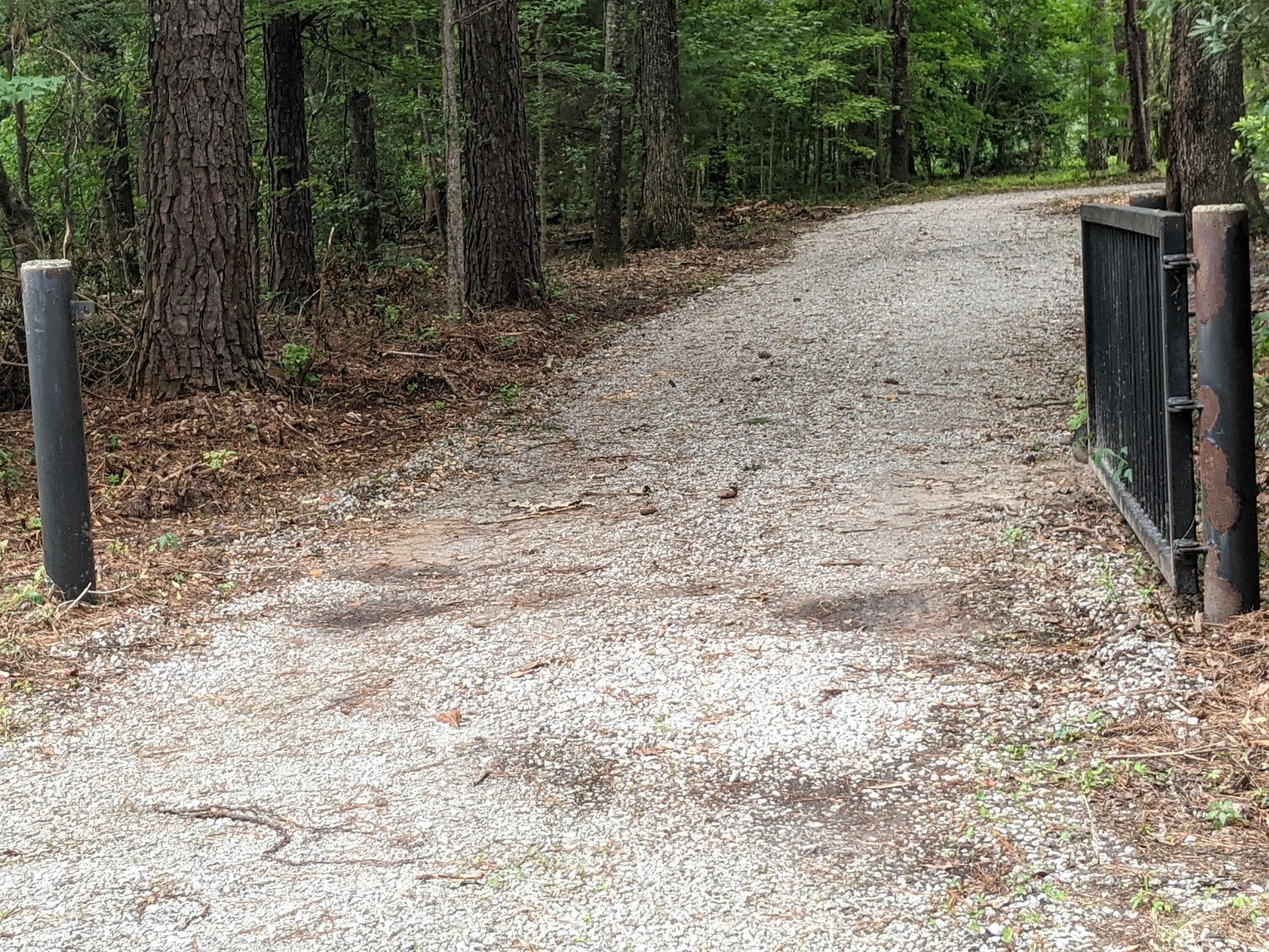 8061 Little Britton Road Hollywood, SC 29449 - Photo 18 of 55 8061 entrance 2