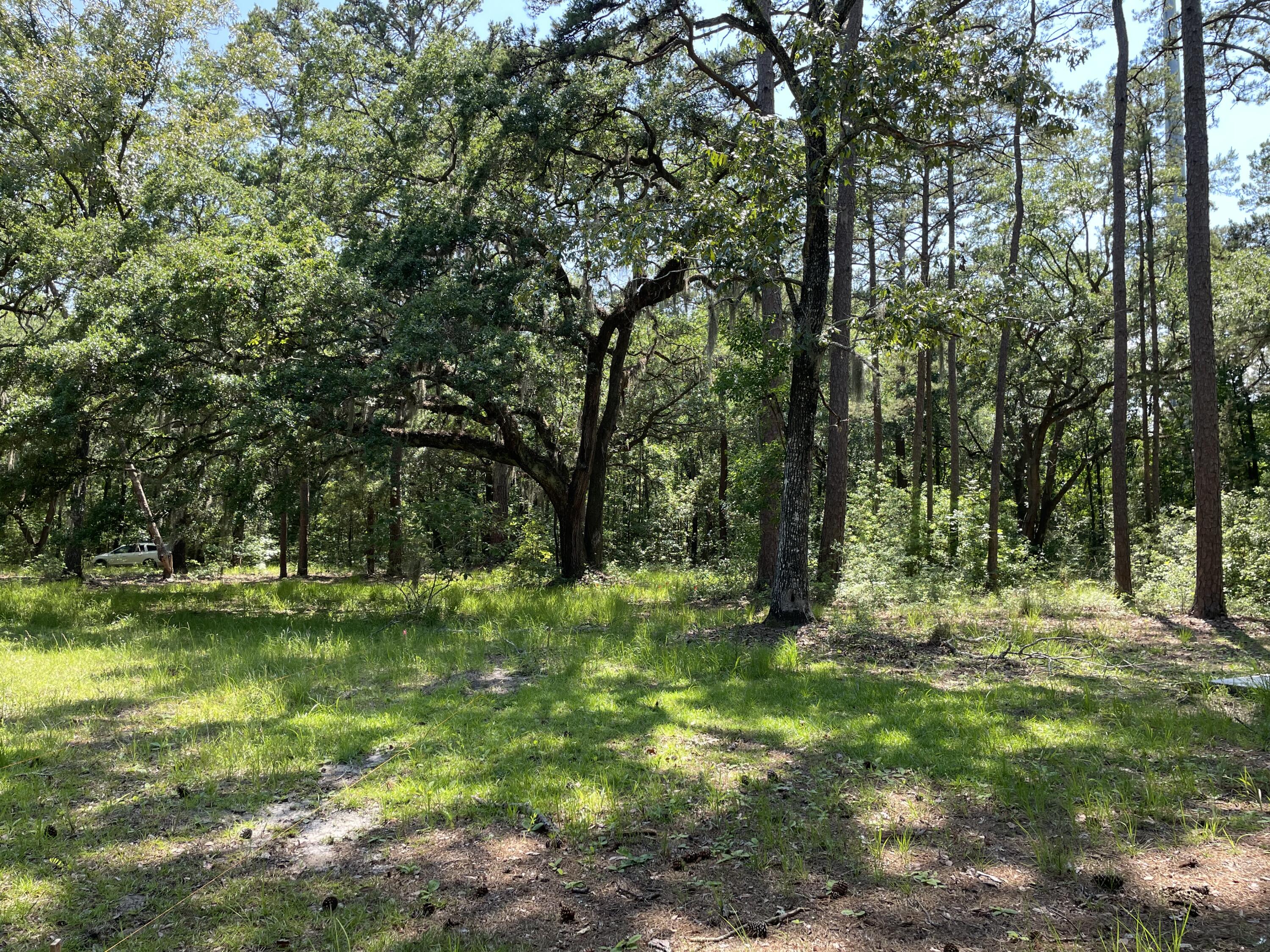 8061 Little Britton Road Hollywood, SC 29449 - Photo 19 of 55 Photo Jun 02, 3 05 57 PM