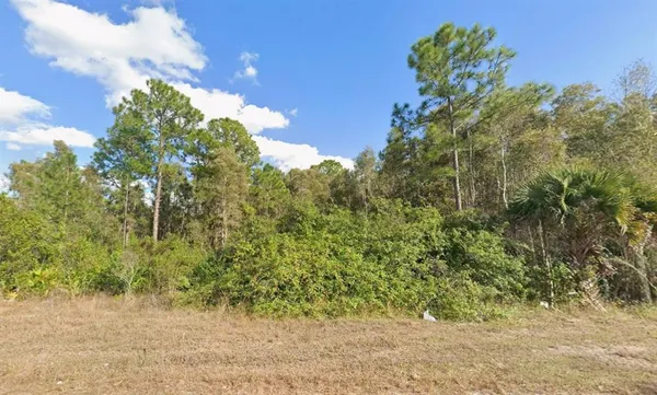 $19,900 | 1013 Legion Avenue, Lehigh Acres, FL 33974