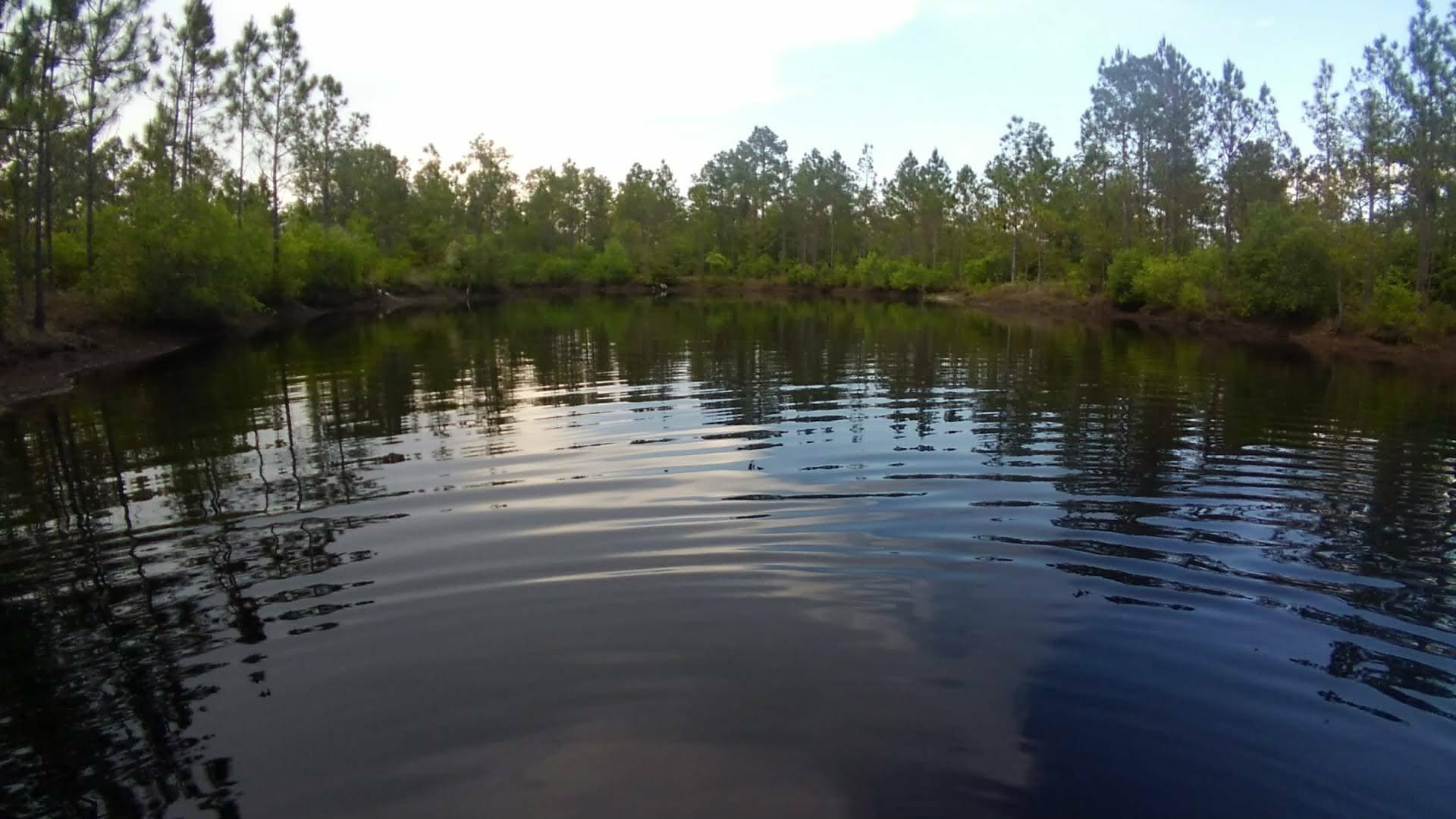 152 Sam Marks Road Crawfordville, FL 32327 - Photo 1 of 18 Gallery Image 1