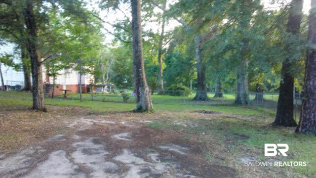 201 Mcgehee Road Evergreen, AL 36401 - Photo 3 of 3