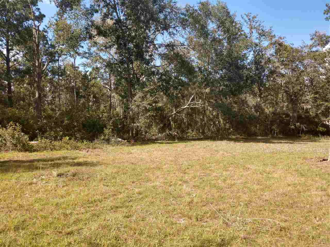 3060 Lake Bird Church Road Perry, FL 32347 - Photo 8 of 29 Gallery Image 8
