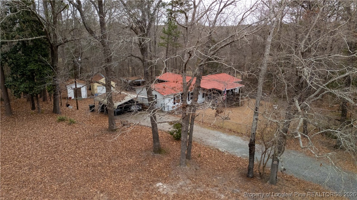 156 Connell Road Carthage, NC 28327 - Photo 38 of 43 a view of a yard with a tree