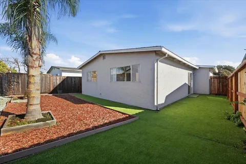 a view of backyard of house