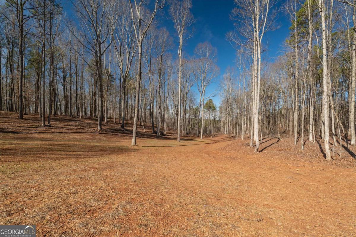 582 Temple Draketown Road Temple, GA 30179 - Photo 58 of 88