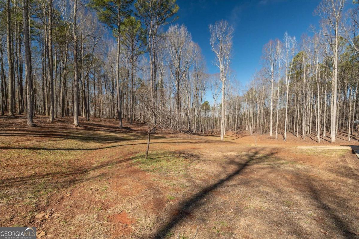 582 Temple Draketown Road Temple, GA 30179 - Photo 60 of 88