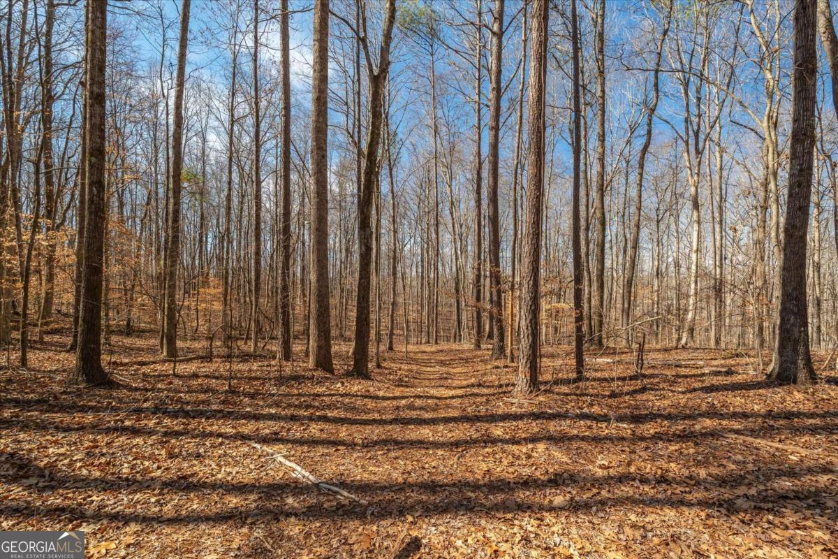 582 Temple Draketown Road Temple, GA 30179 - Photo 61 of 88