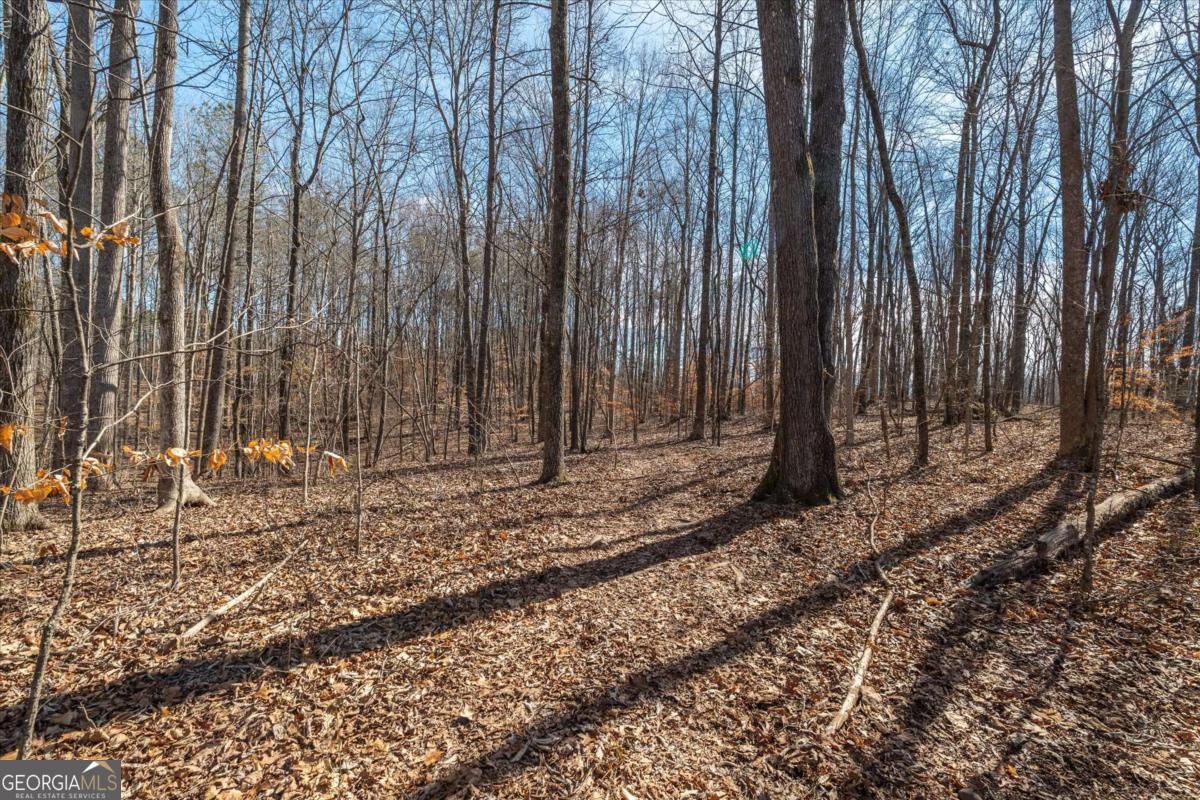 582 Temple Draketown Road Temple, GA 30179 - Photo 62 of 88