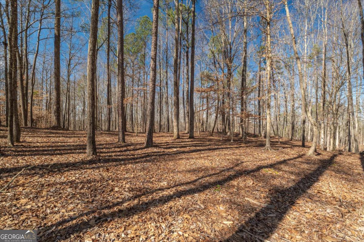 582 Temple Draketown Road Temple, GA 30179 - Photo 63 of 88