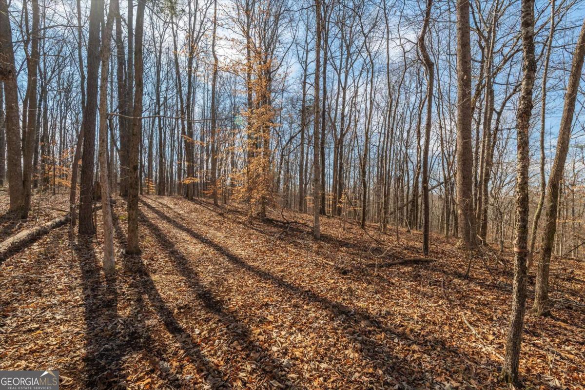 582 Temple Draketown Road Temple, GA 30179 - Photo 64 of 88