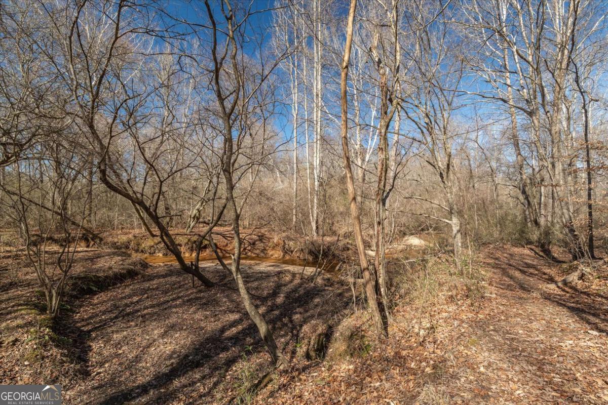 582 Temple Draketown Road Temple, GA 30179 - Photo 65 of 88