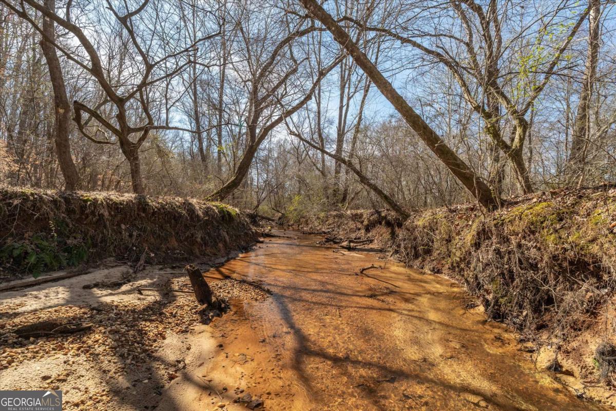 582 Temple Draketown Road Temple, GA 30179 - Photo 67 of 88