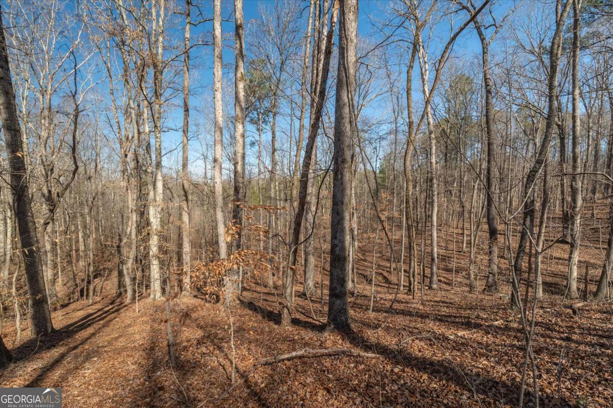 582 Temple Draketown Road Temple, GA 30179 - Photo 69 of 88