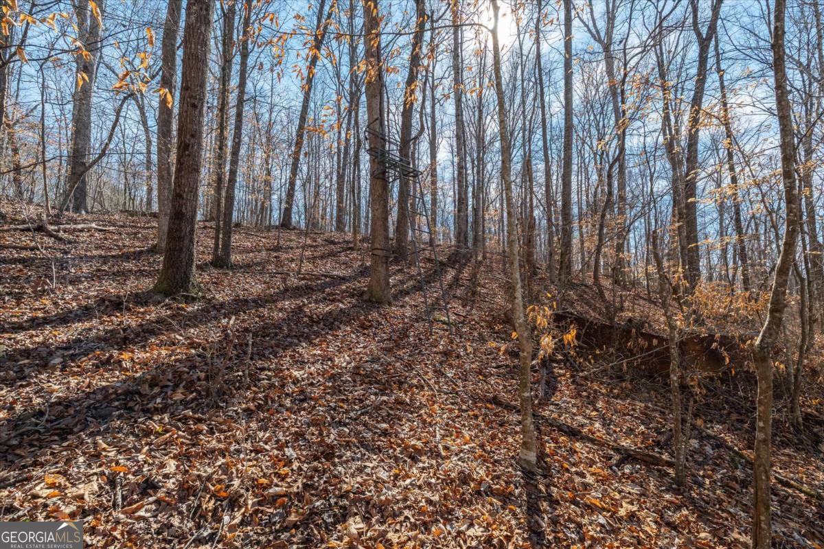 582 Temple Draketown Road Temple, GA 30179 - Photo 71 of 88