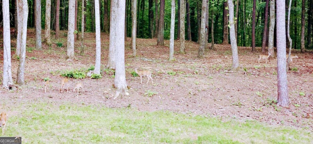 582 Temple Draketown Road Temple, GA 30179 - Photo 73 of 88