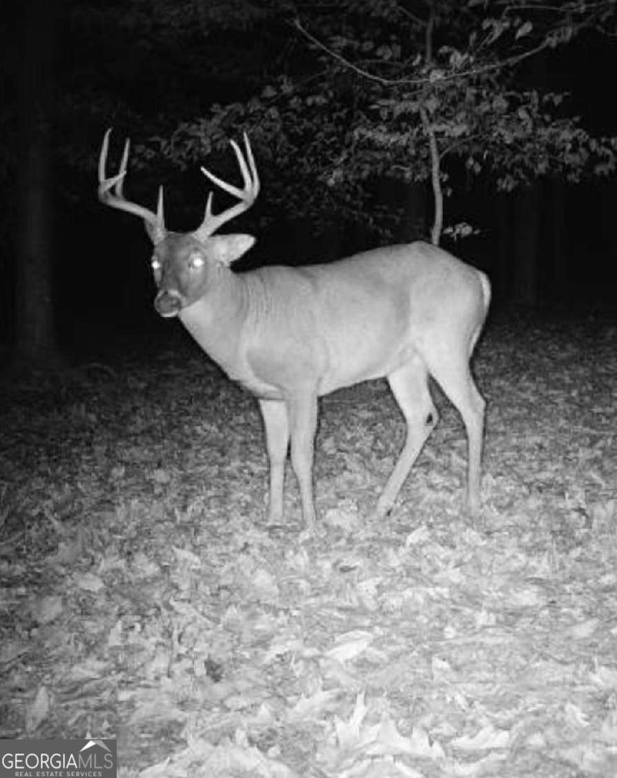 582 Temple Draketown Road Temple, GA 30179 - Photo 74 of 88