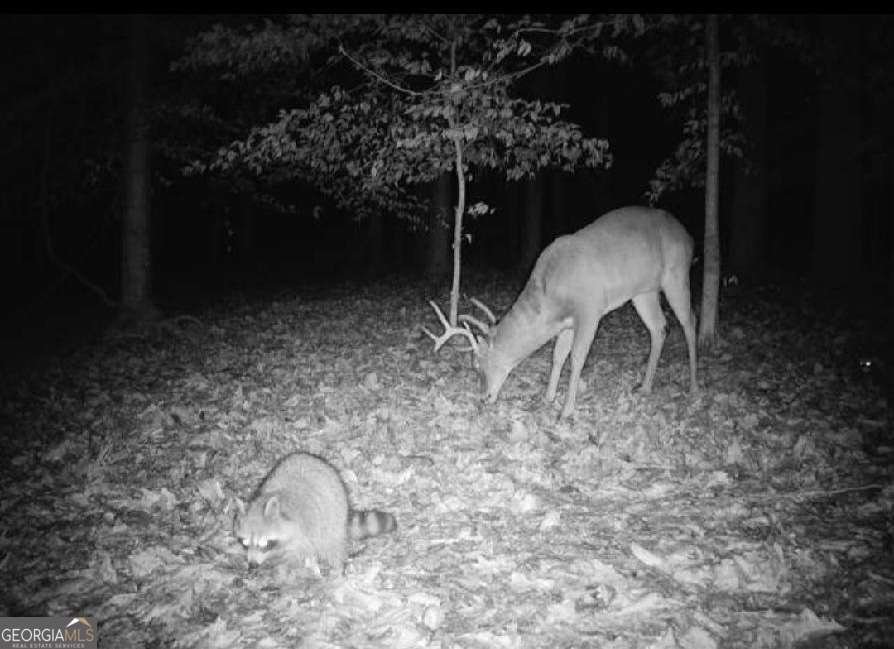 582 Temple Draketown Road Temple, GA 30179 - Photo 75 of 88