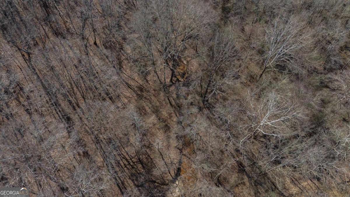 582 Temple Draketown Road Temple, GA 30179 - Photo 76 of 88