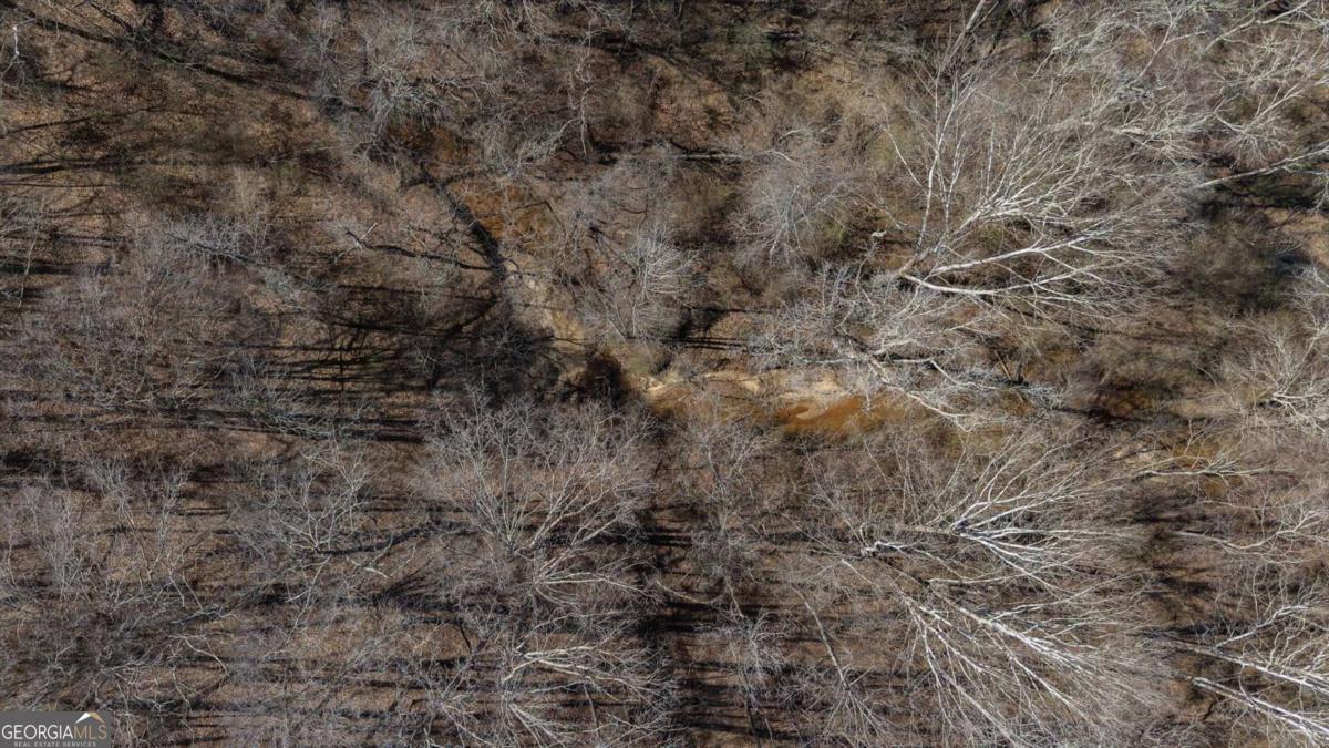 582 Temple Draketown Road Temple, GA 30179 - Photo 77 of 88