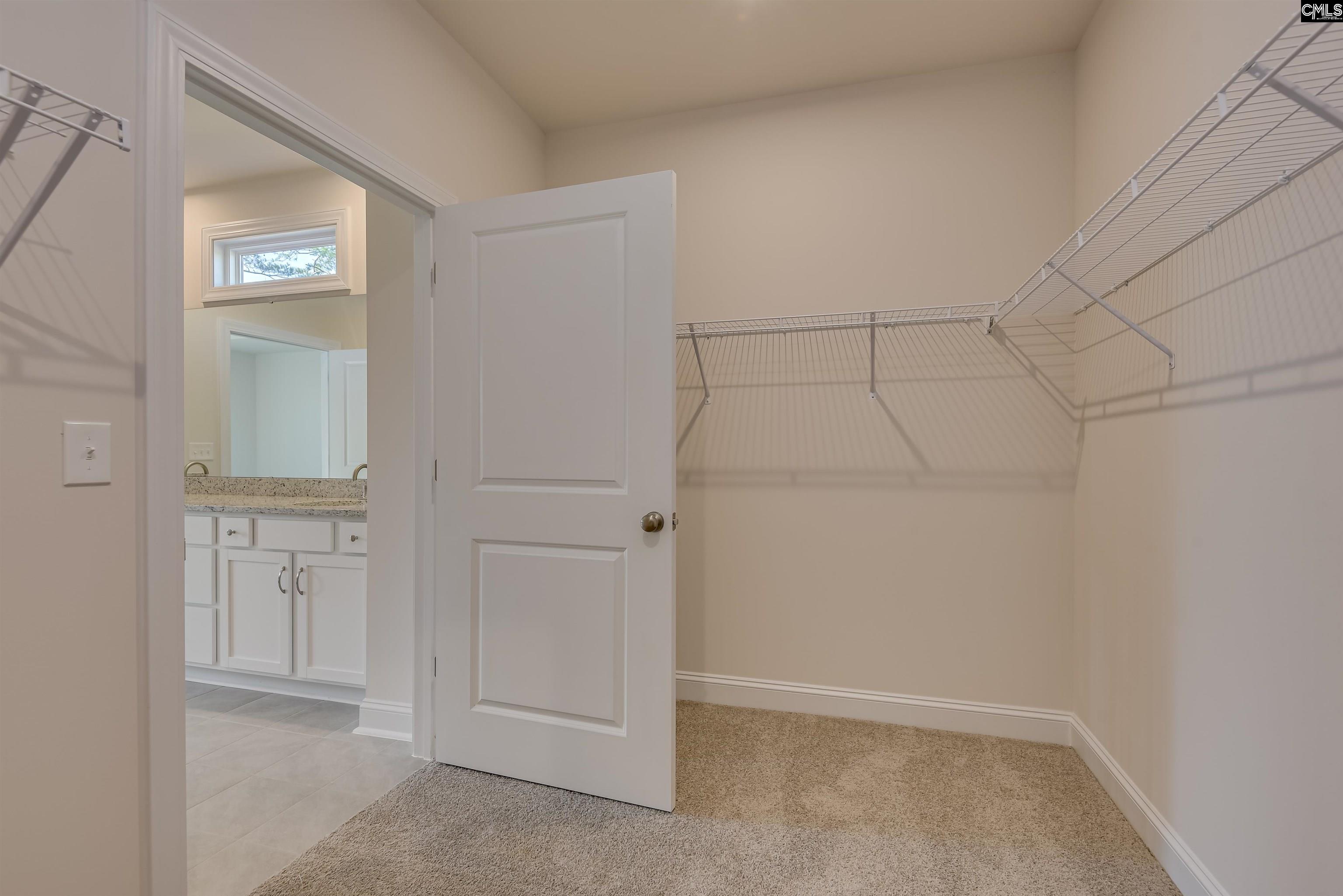 617 Basalt Court Chapin, SC 29036 - Photo 32 of 46