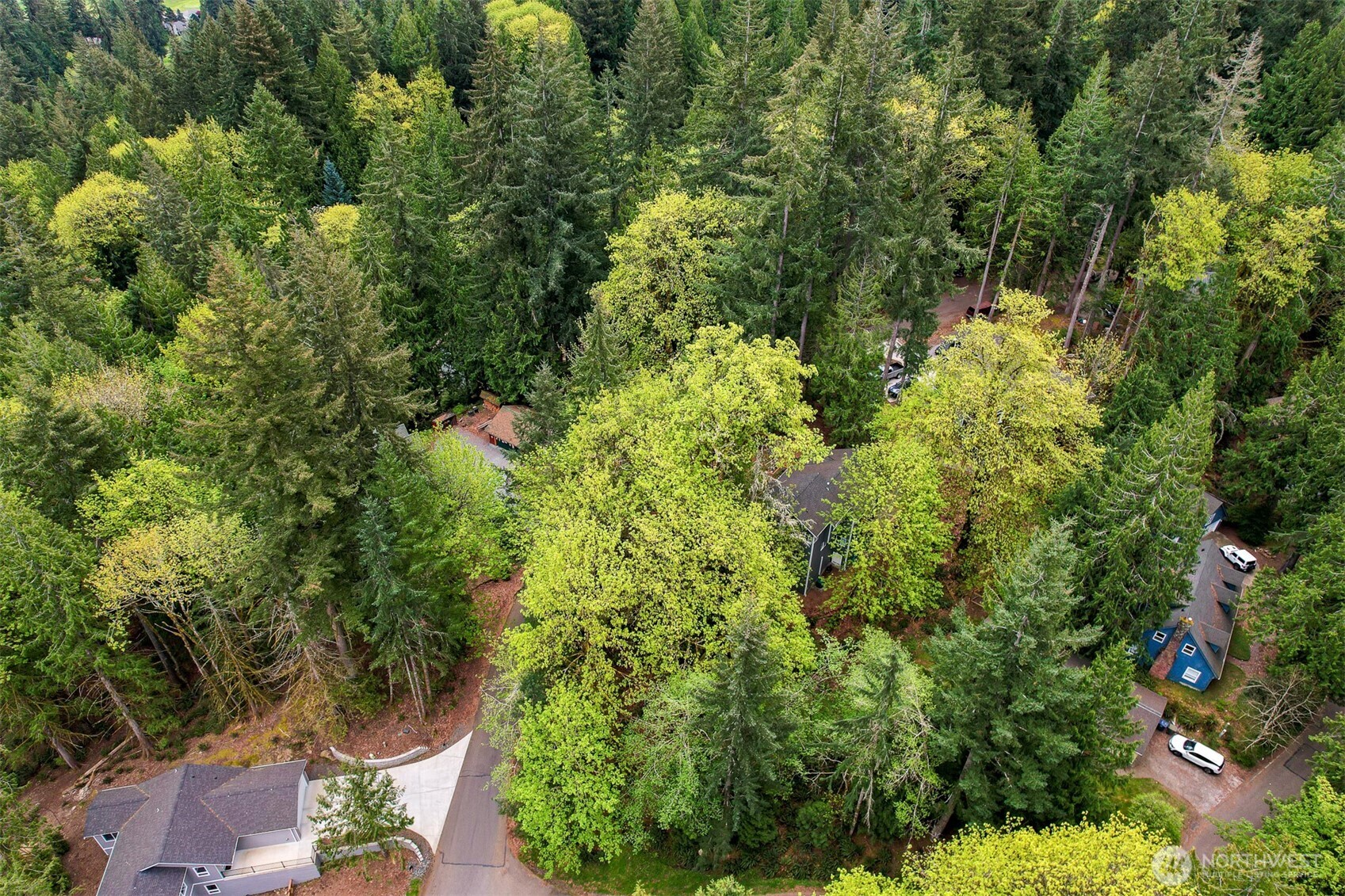 4 Indian Ridge Court Bellingham, WA 98229 - Photo 22 of 27