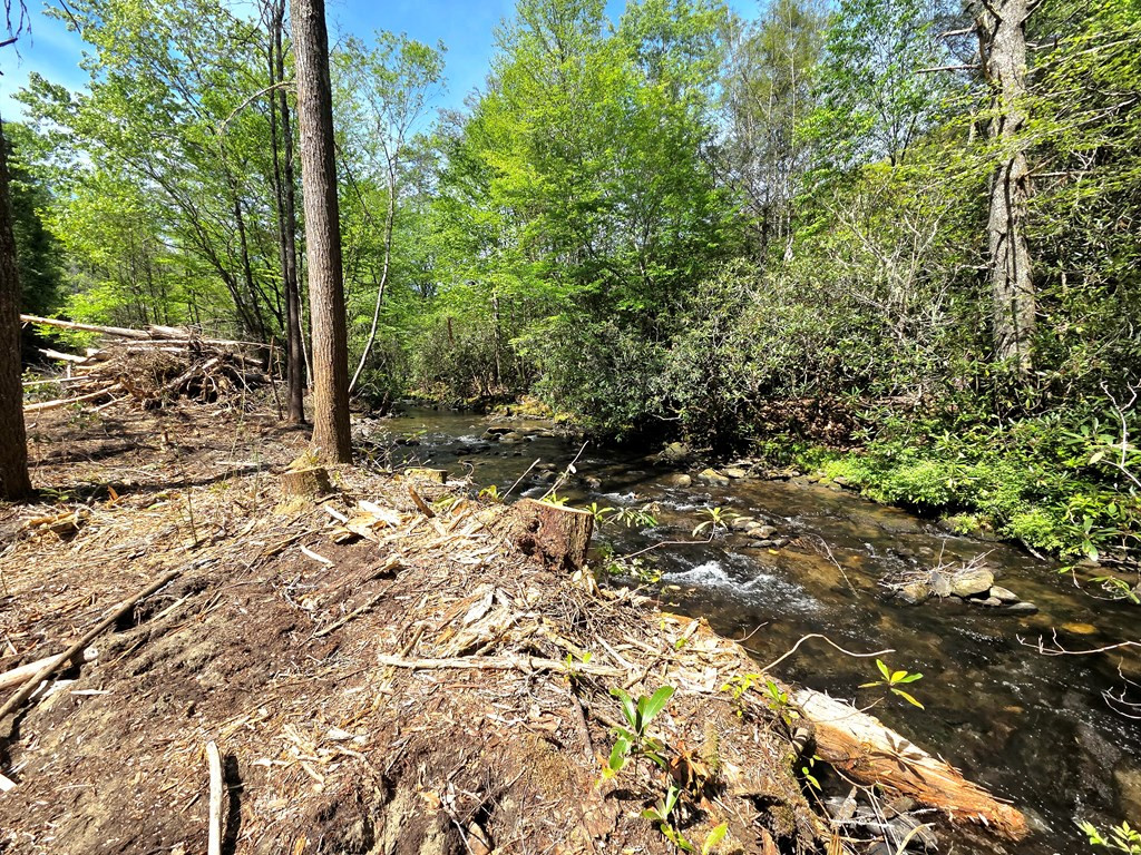795 Porter Field Gap Road Robbinsville, NC 28771 - Photo 66 of 105
