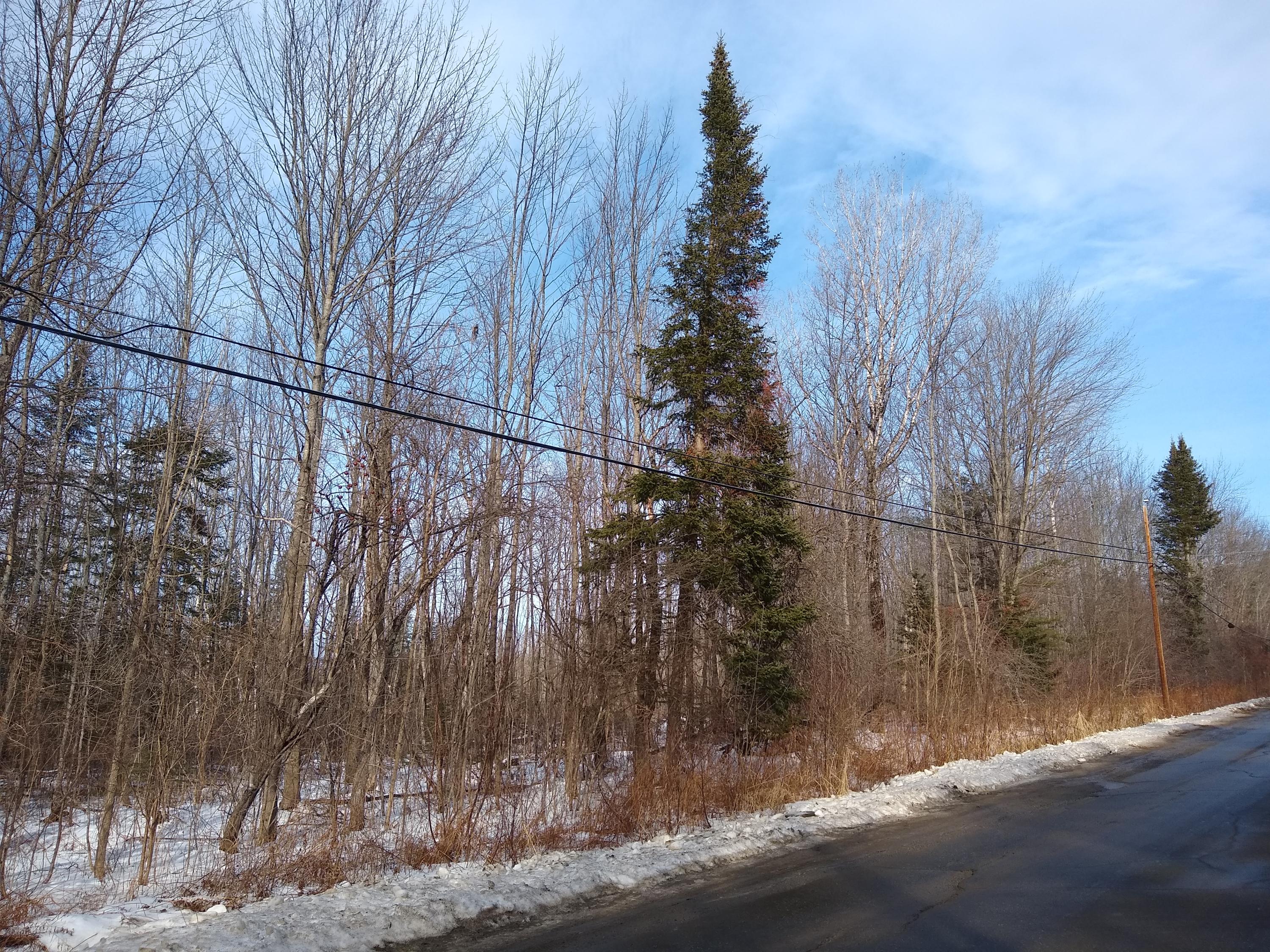 0 Bailey Hill Road Farmington, ME 04938 - Photo 6 of 11 IMG_20200111_131552985