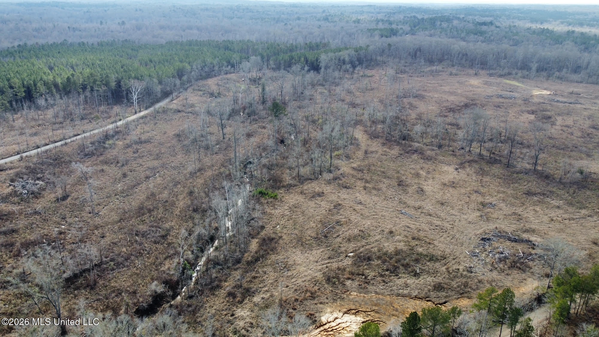 0 Prentiss Crump Road Utica, MS 39175 - Photo 10 of 15 601
