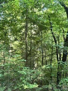 Tba Ricks Road Sharon, SC 29742 - Photo 2 of 5