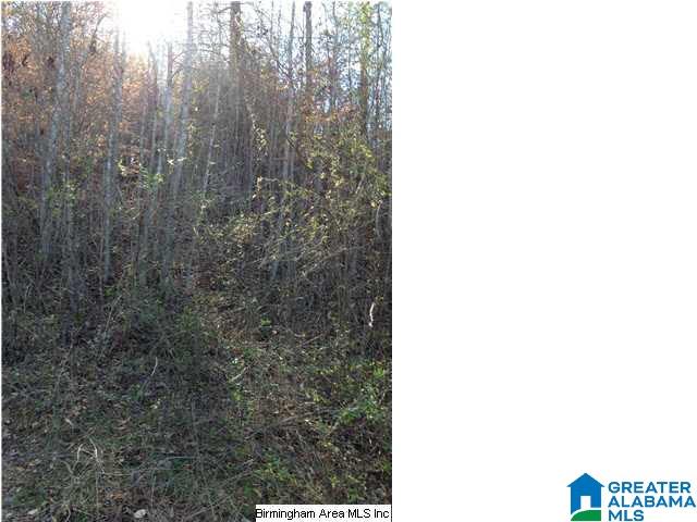 0 Henderson Lake Road, Unit 128 Munford, AL 36268 - Photo 14 of 31