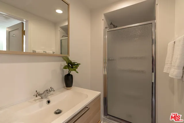 a view of a yard with plants and large trees