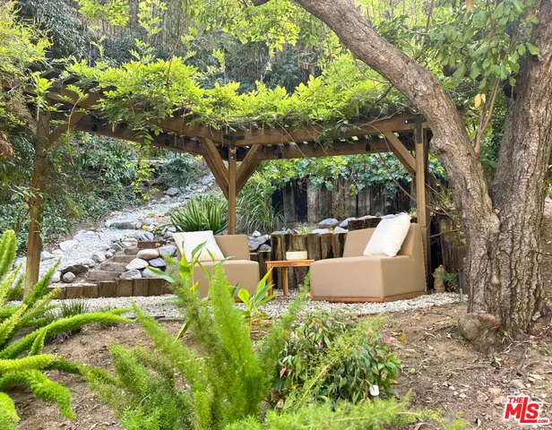 a view of a big yard with plants and large trees