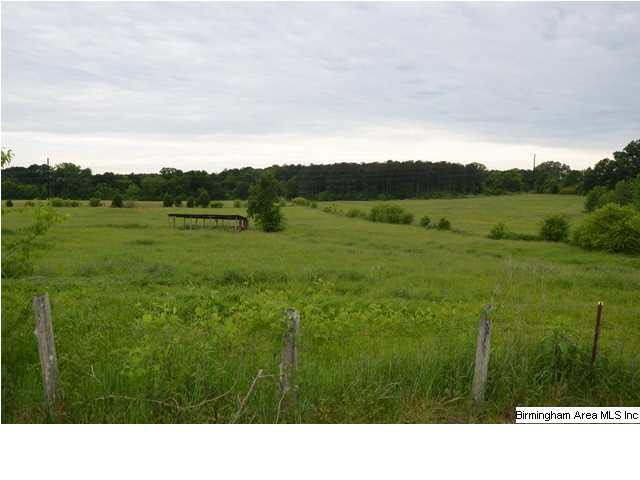 Holly Hills Road, Unit 39 Lincoln, AL 35096 - Photo 3 of 4
