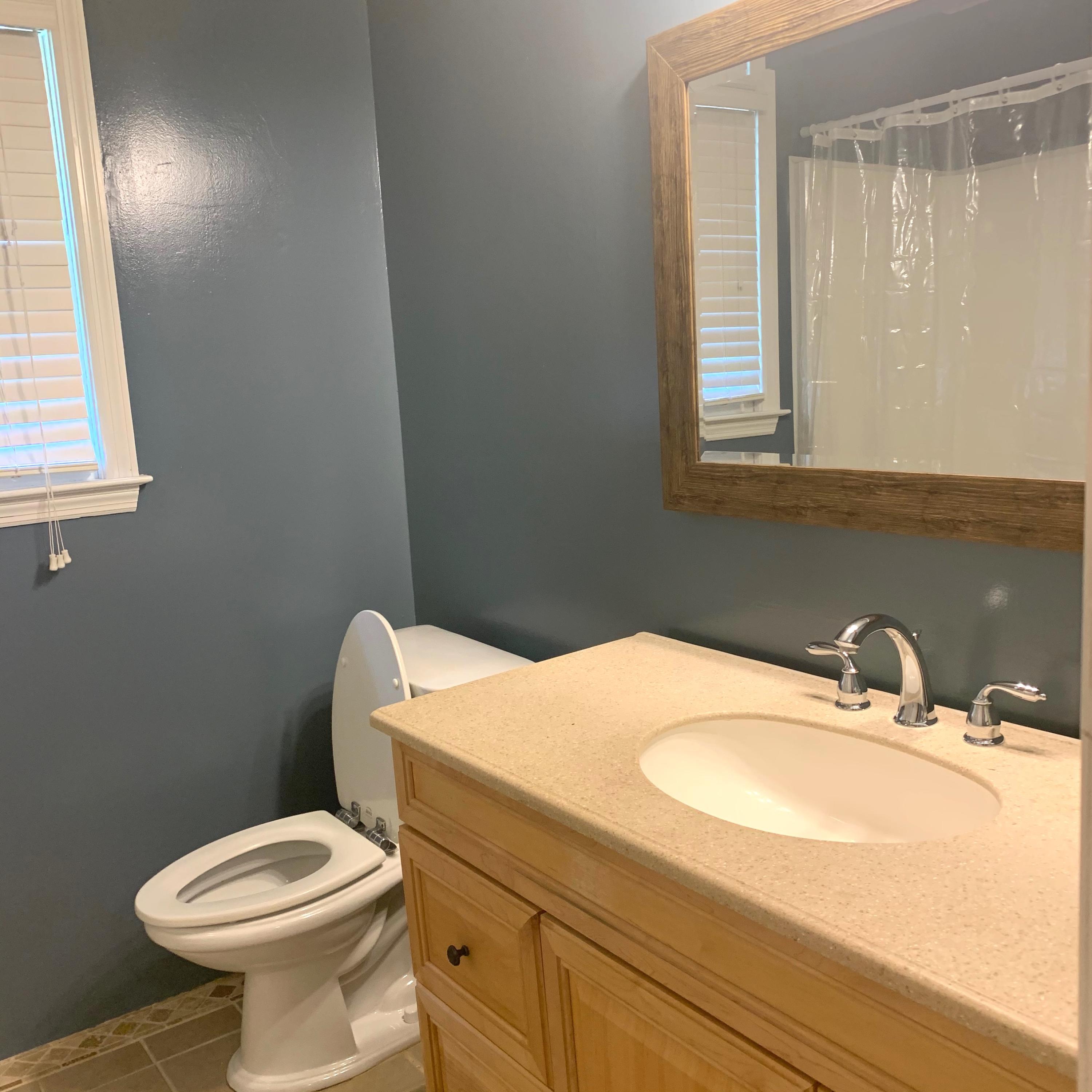118 Tall Pines Road Ladson, SC 29456 - Photo 11 of 24 IMG_1886